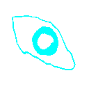 eyec