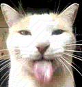larval7 larval7