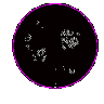 dotshake