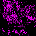 disruptionm disruptionm